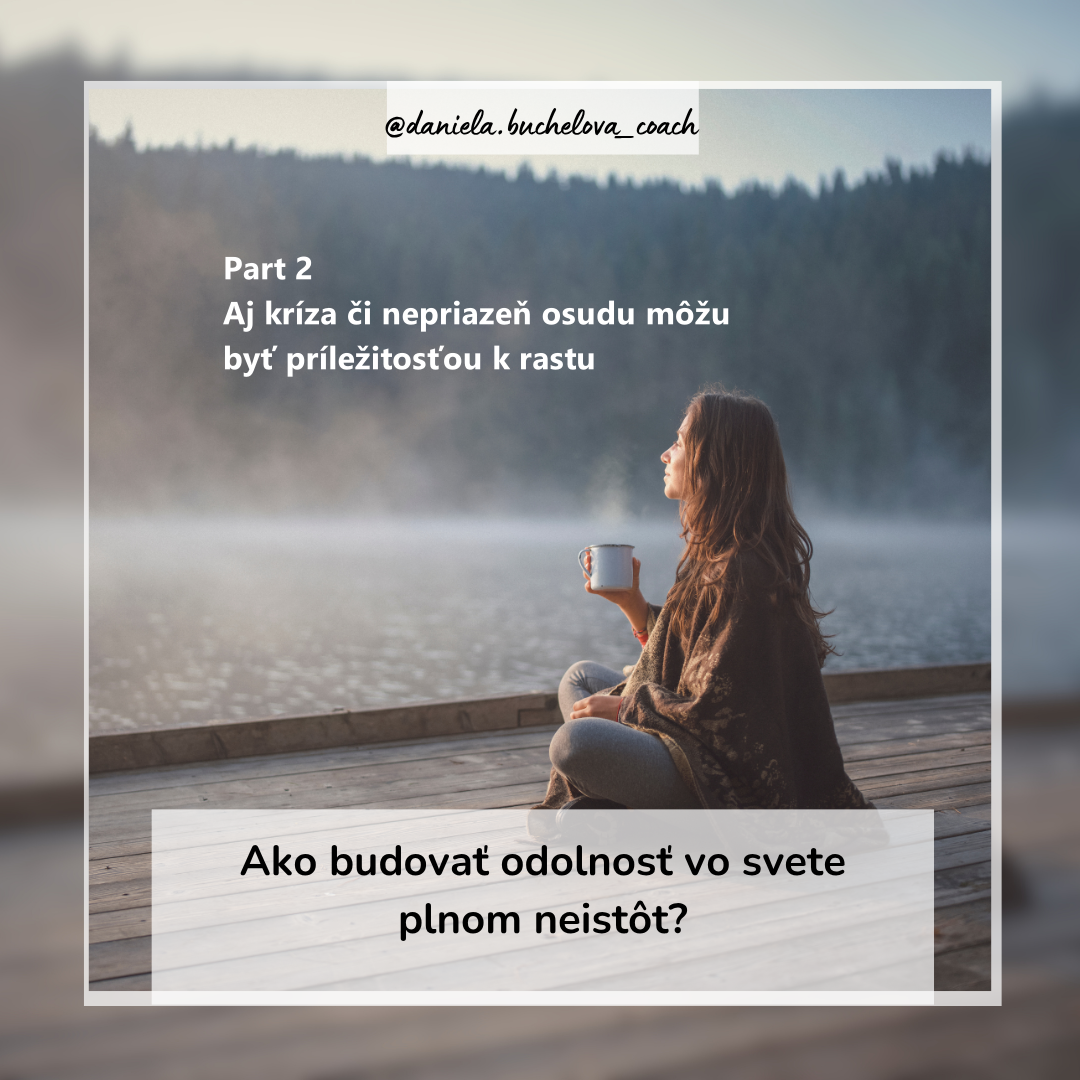 budovanie odolnosti/ reziliencie